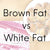 Unveiling the Battle of the Bulge: Brown Fat vs. White Fat