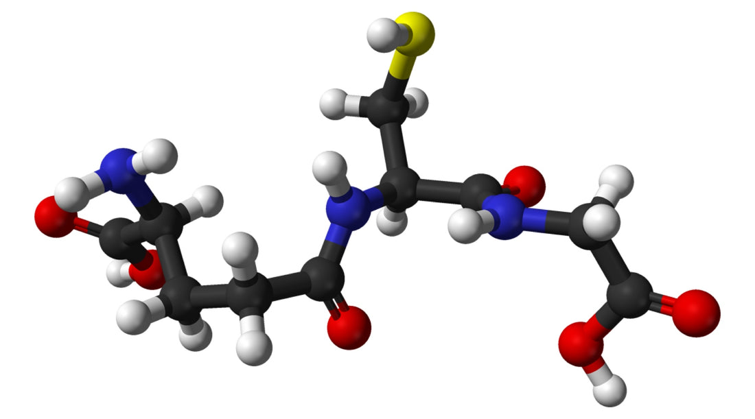 What Is The Most Bioavailable Form Of Glutathione?
