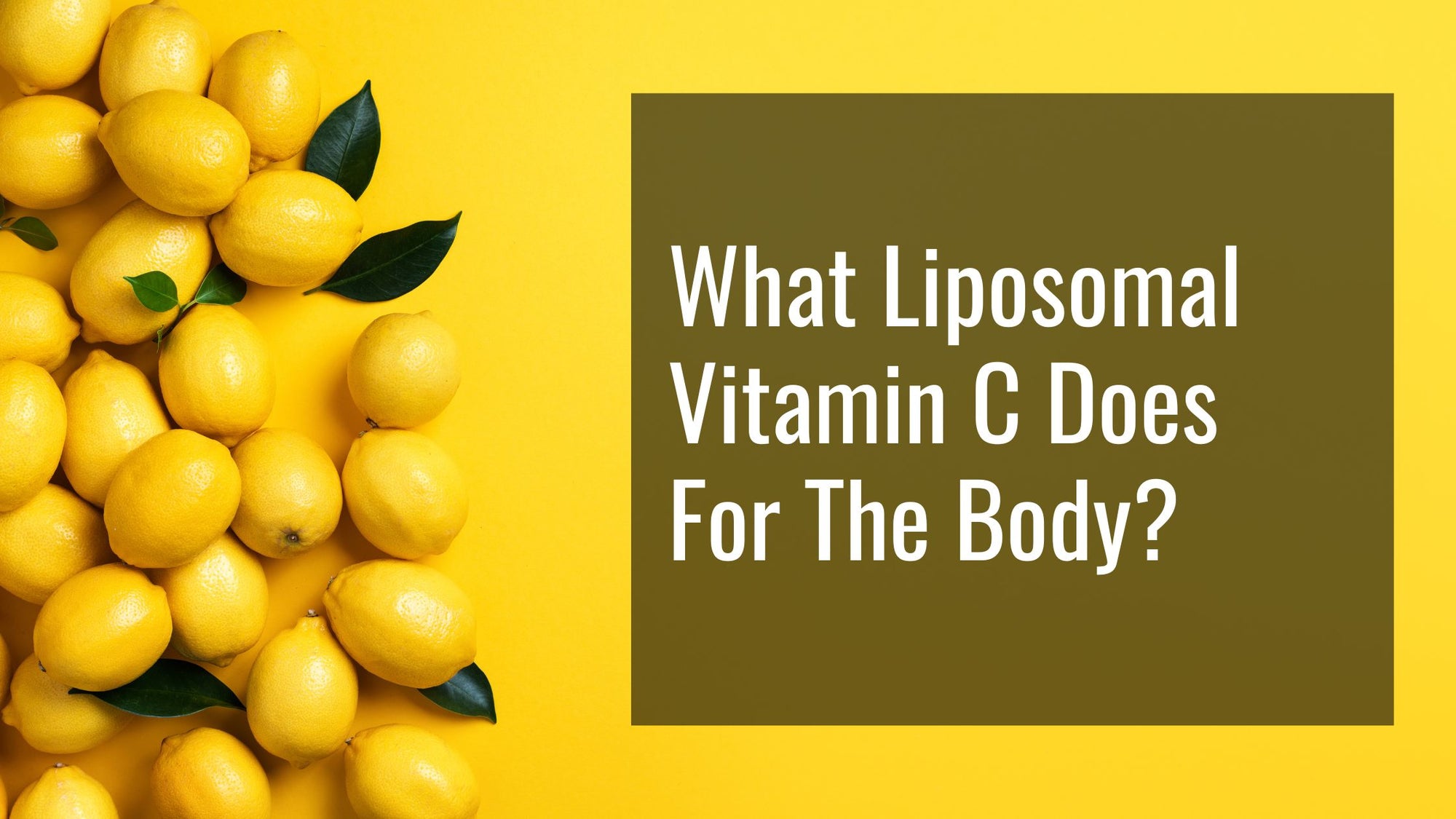 What Does Liposomal Vitamin C Do For The Body?