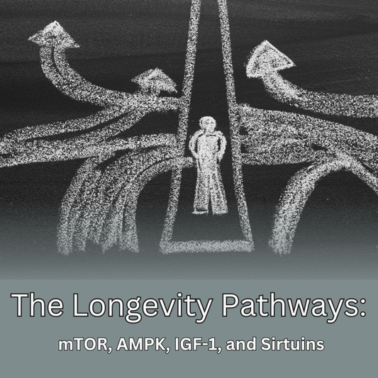 The Longevity Pathways: mTOR, AMPK, IGF-1, and Sirtuins