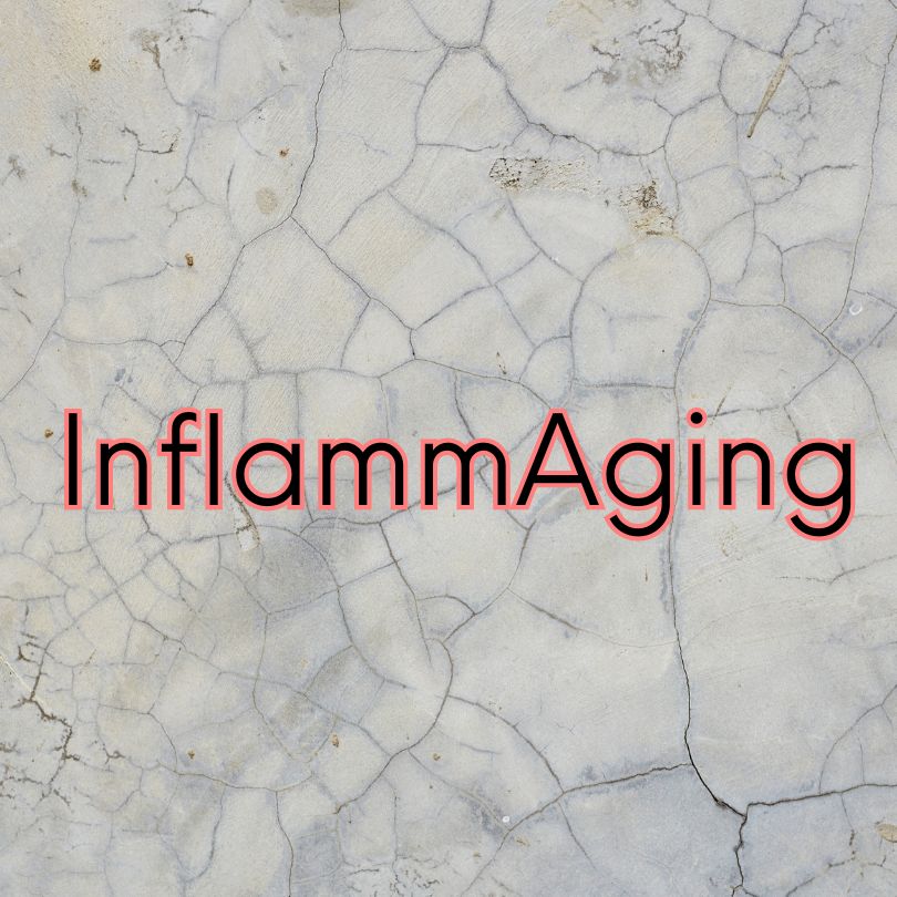 Understanding InflammAging: The Intersection of Aging and Inflammation ...