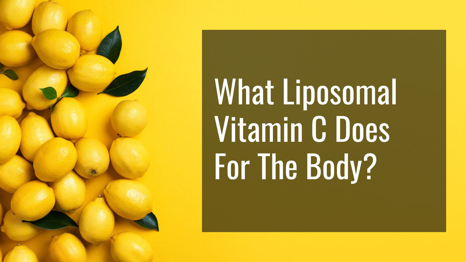 What Does Liposomal Vitamin C Do For The Body? BioStack