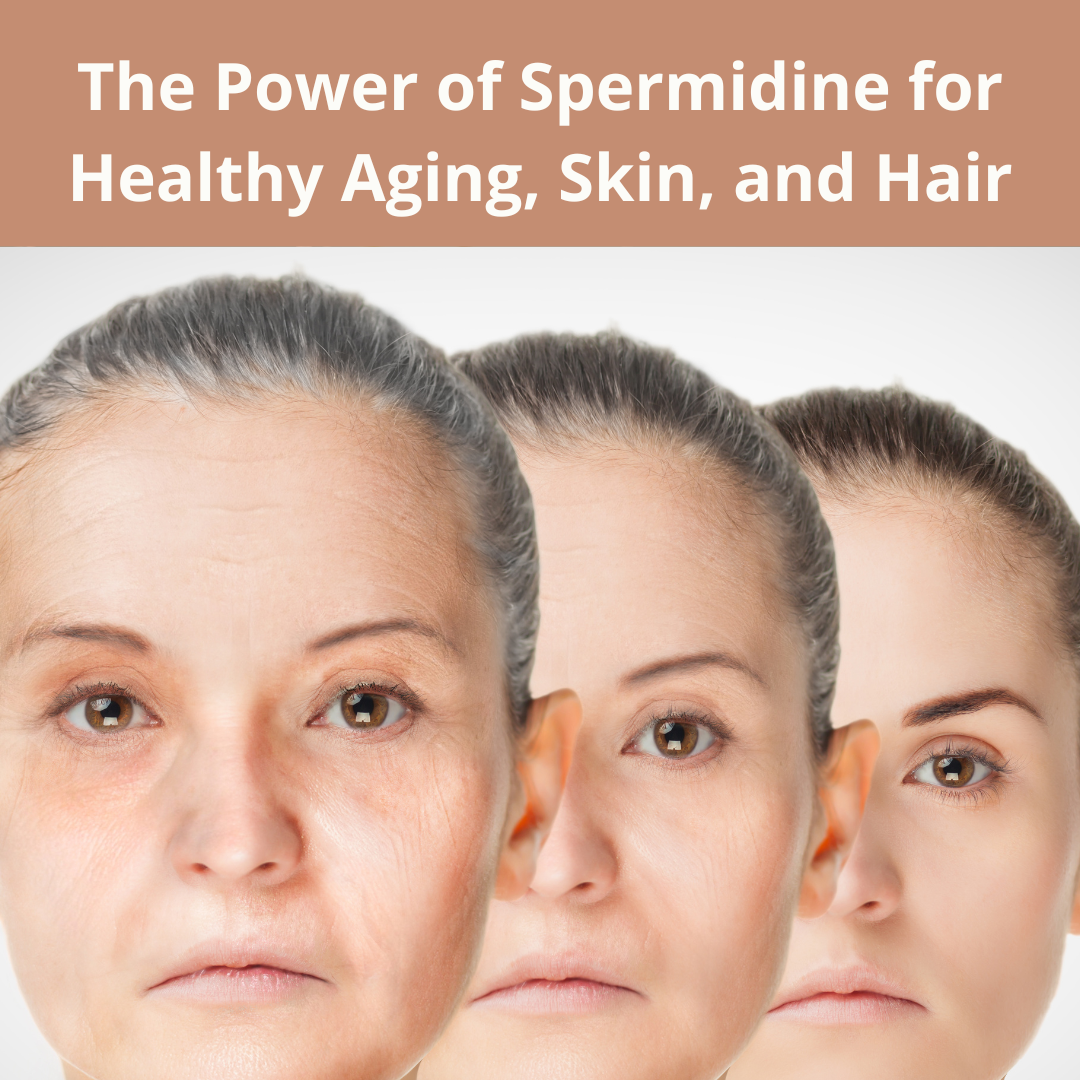 The Power of Spermidine for Healthy Aging, Skin, and Hair!