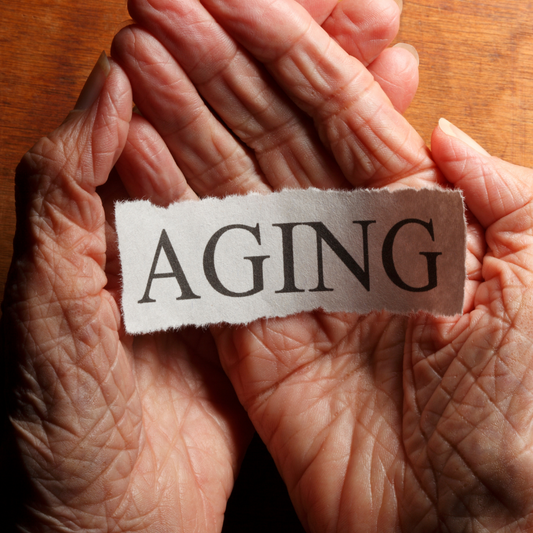 The Potential of Spermidine for Longevity