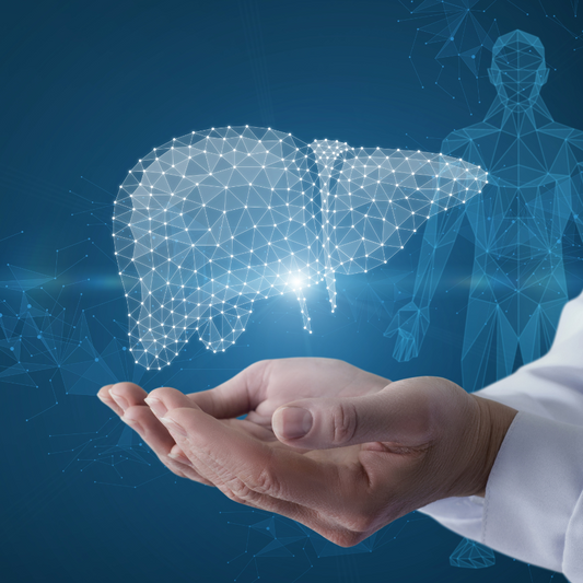 Liver Health: The Key to Optimal Well-Being