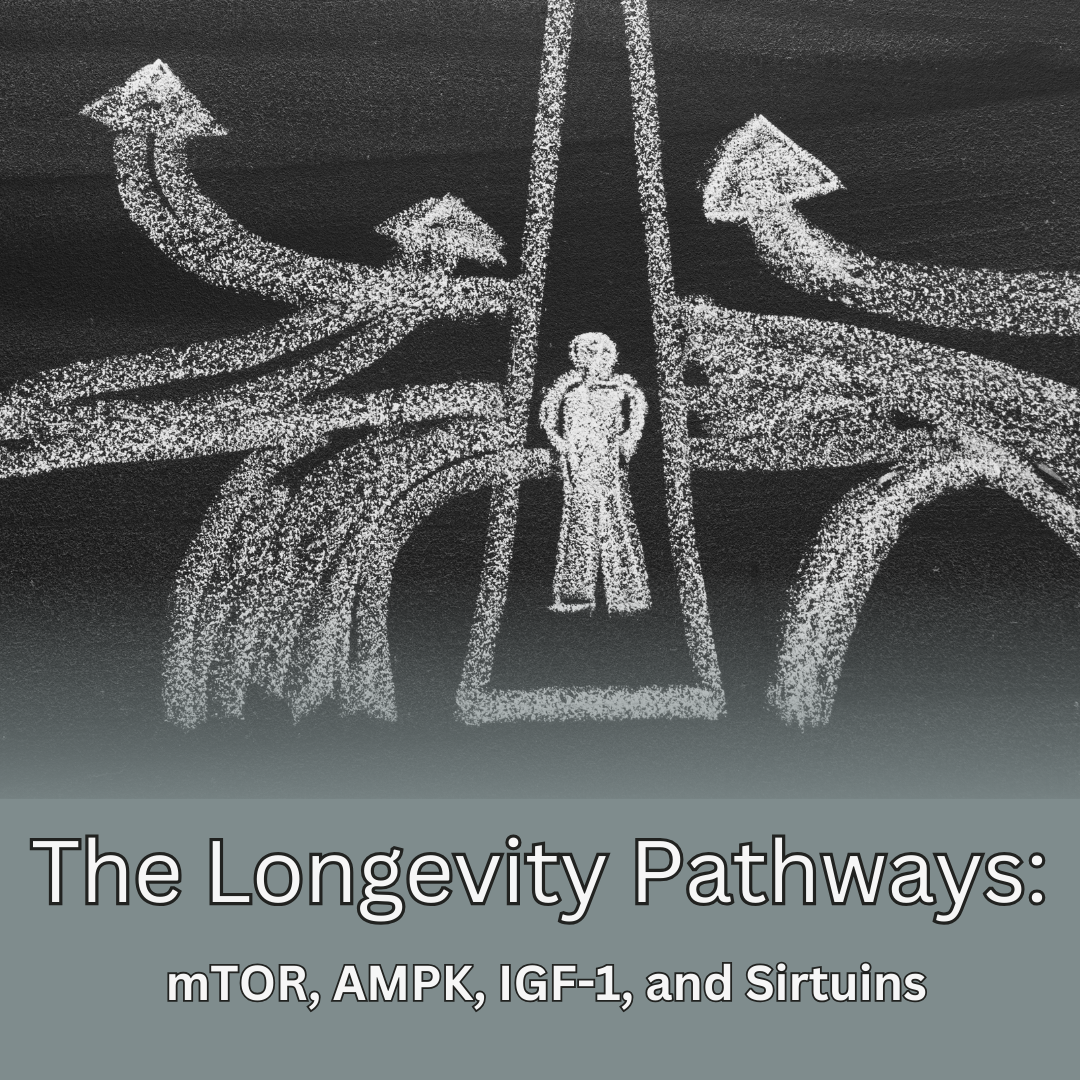 The Longevity Pathways: mTOR, AMPK, IGF-1, and Sirtuins