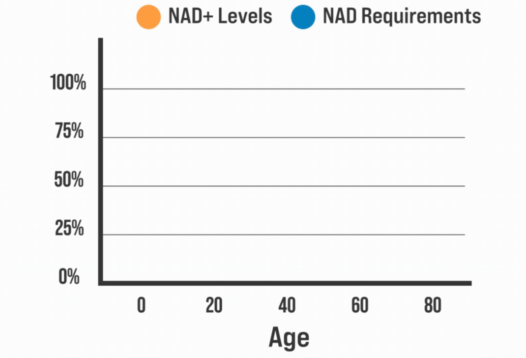 NAD Regen - NAD Plus Supplement – BioStack