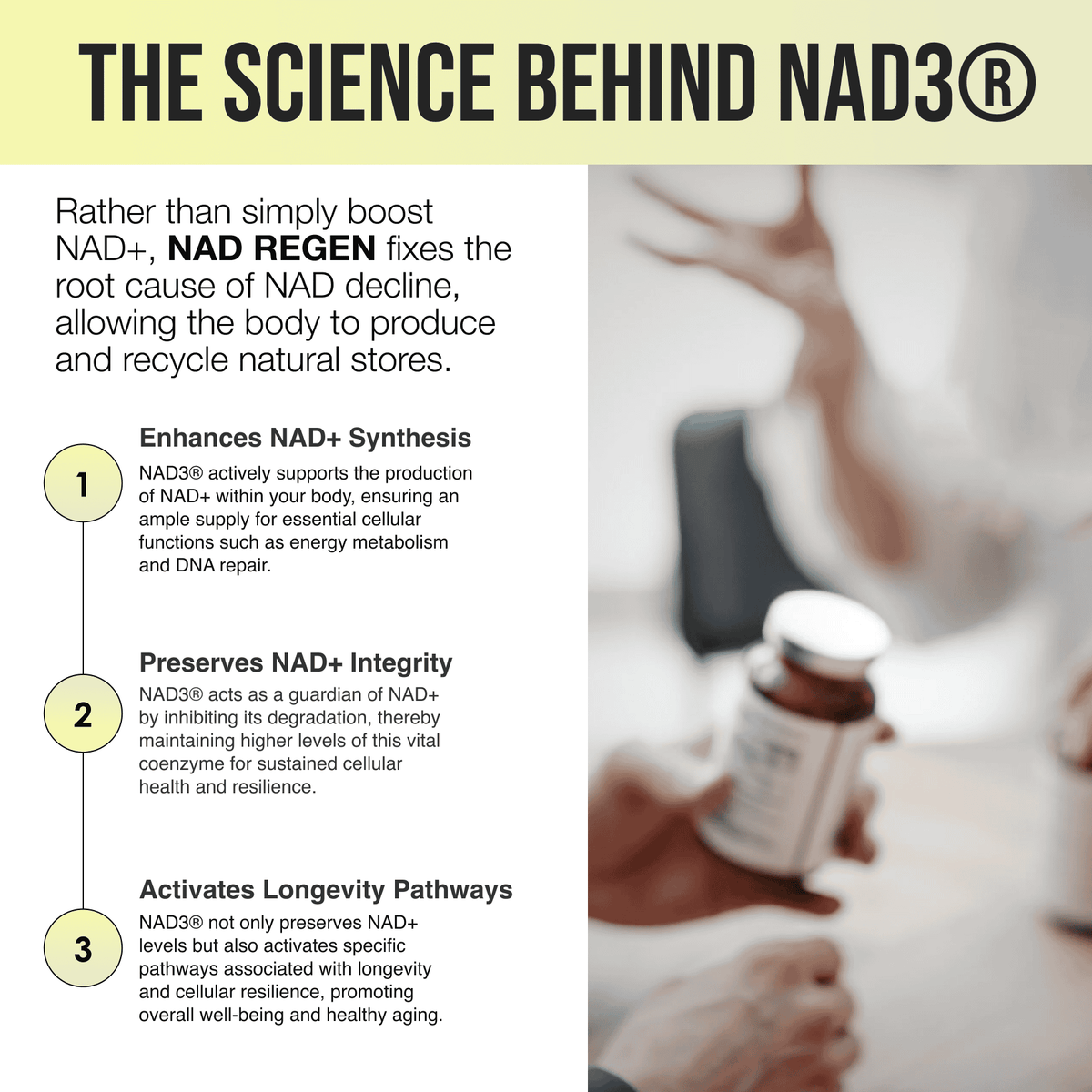 NAD Regen (AFF)