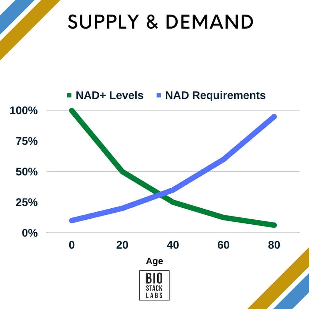 NAD+ as a supply and demand problem as we age